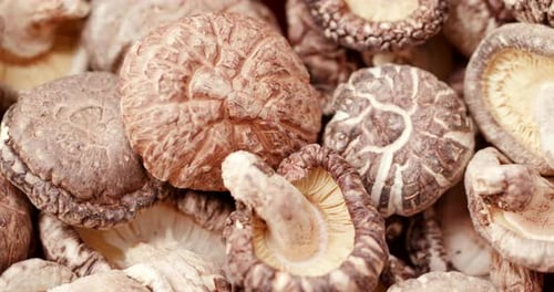 Close-Up of Dried Shiitake Mushrooms