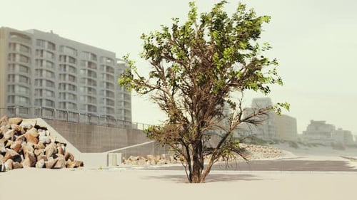 Empty Beach Car Park Spaces Covered in Asphalt