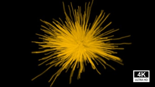 Dynamic Fluid Particle Burst Reveal