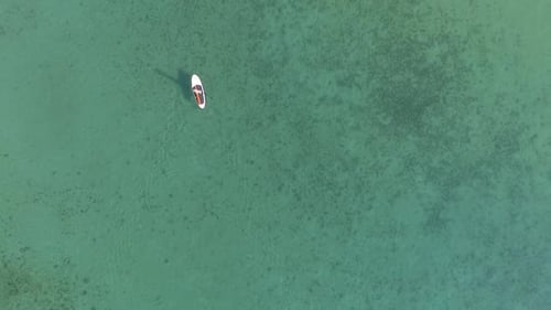 Stand Up Paddle Aerial View