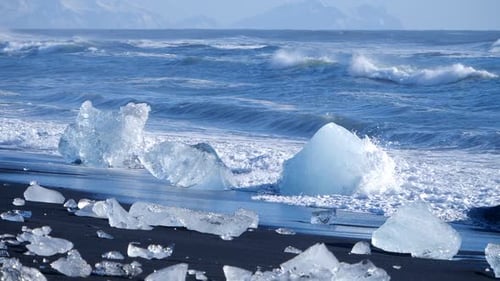 Icebergs on Black Sand Beach in Iceland