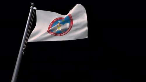 Addis Ababa City Administration Flag Waving 3D Animation