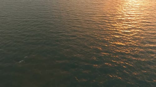 Ocean