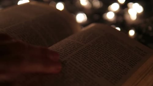 Bibel lesen