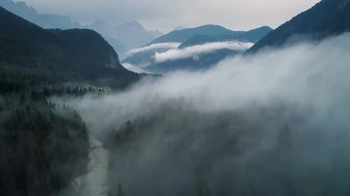 Misty Mountain Landscape with Dense Forest and River