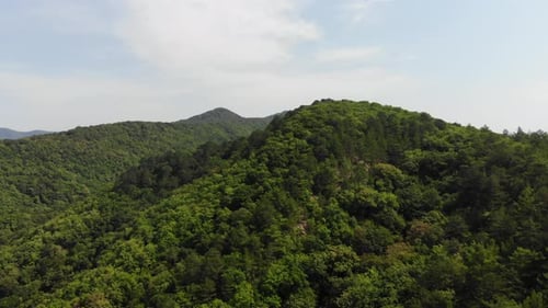 Aerial of flying over a beautiful green forest in a rural landscape.