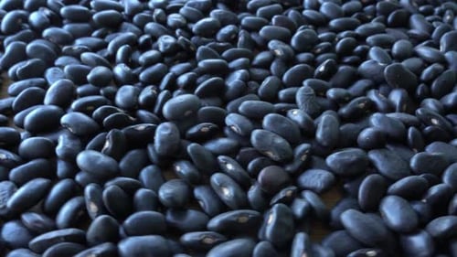 Close Up of Pile of Shiny Black Beans