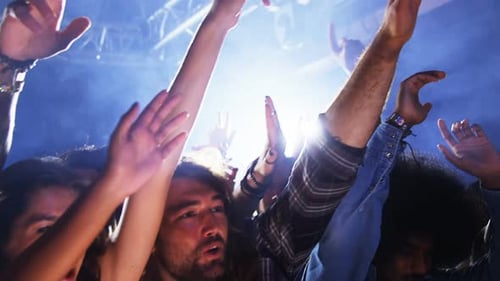 Excited Crowd Enjoying a Live Music Concert