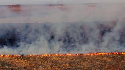 Aerial Top View of a Grass Fire