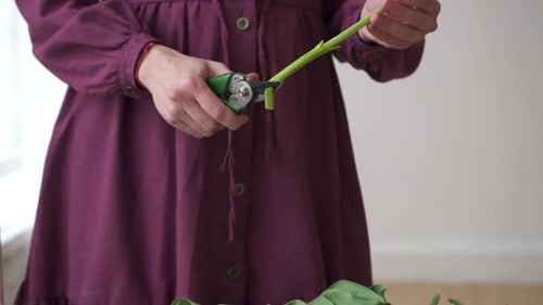 Mains de fleuriste taillées avec des tiges de tulle