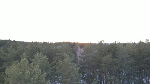Above The Winter Forest At Sunset