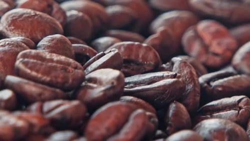 Close Up View of Dark Roasted Coffee Beans