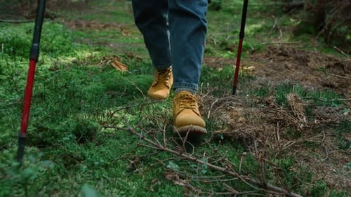 Hiker Boots and Sticks Walk Through Green Forest