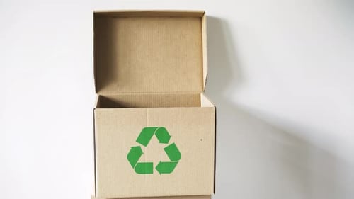 Recycling Various Items into a Cardboard Box
