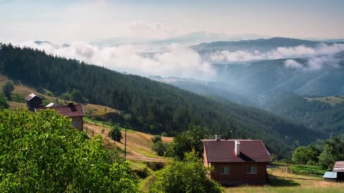 Moving morning mists over the tree-covered mountain slopes