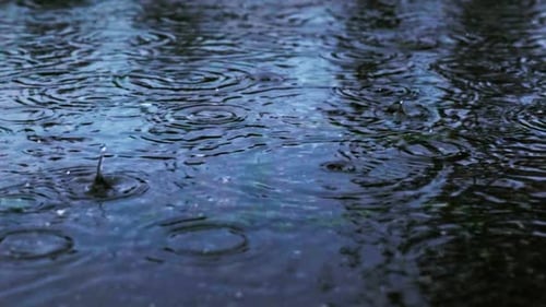Regen
