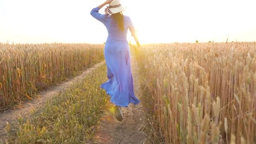 Beautiful Woman in a Blue Dress and Hat Runs Through a Wheat Field at Sunset. Freedom Concept. Wheat