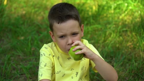 The boy is eating a delicious apple in the park among the big green trees in the background