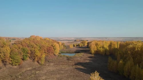 Lake in the autumn forest