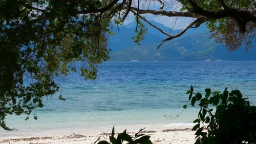 Below The Trees On Tropical Beach