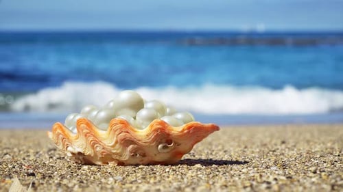 Shell with a pearls on the ocean beach.