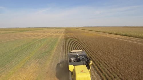 Harvester In Soy Bean Field