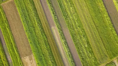 Vue aérienne des champs agricoles verts au printemps avec de la végétation fraîche après la saison des semis