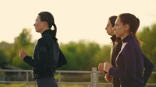 Run in Morning Sport Activities and Healthy Lifestyle of Young Persons Slender Women and Men are