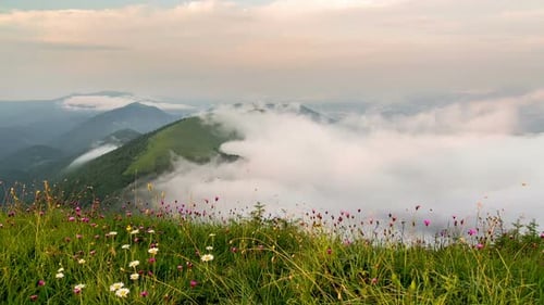 Foggy Clouds Moving in Green Mountains Nature in Sunny Summer Morning