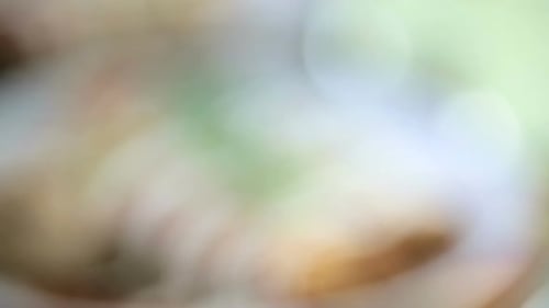 Close up of dinner plate with Chicken enchiladas garnished with green onions and sour cream.