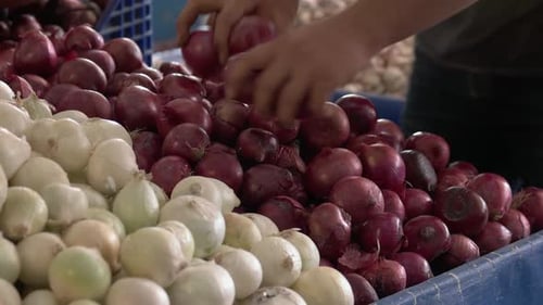 Sellers Hands and Counter with Onions Close Up