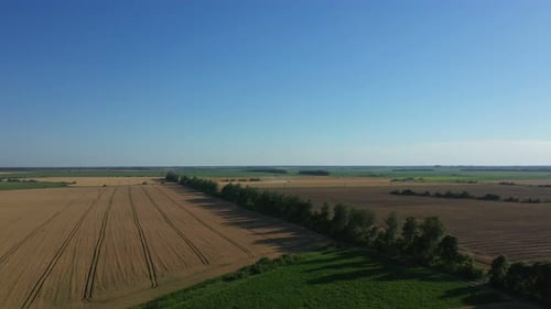 Aerial View Fly Over The Field