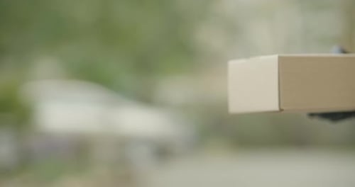 Giving Package to the Client