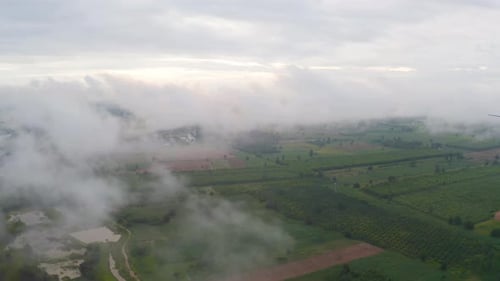 Aerial top view of forest trees with fog mist and green mountain hill