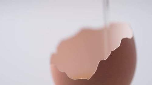 Breaking egg. Egg yolk falls into broken egg shell. Slow Motion.