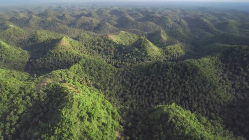 Aerial Philippines Green Mountains Panoramic View. Asian Jungle Hilly Island: Trees, Plants, Grass