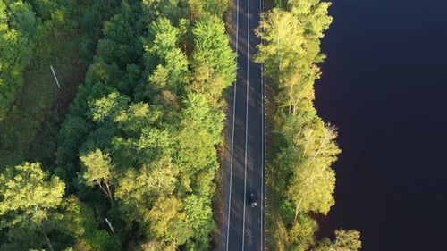 Aerial View From Drone on Asphalt Road at the Forest