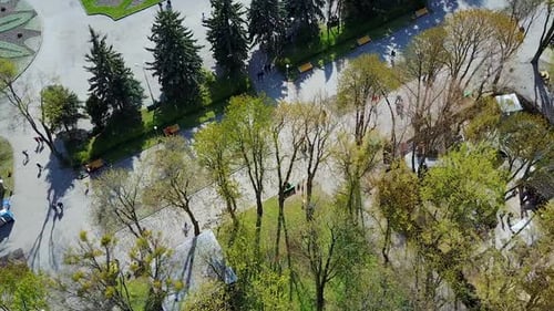 City park from above. Top view from flying drone of city park with walking path and green zone