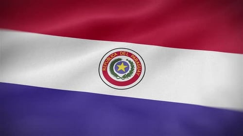 Realistic Waving Flag of Paraguay with National Emblem