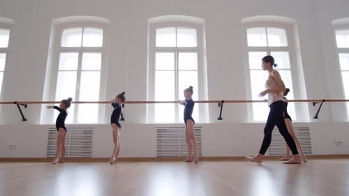 Ballerina Teaching Students in School