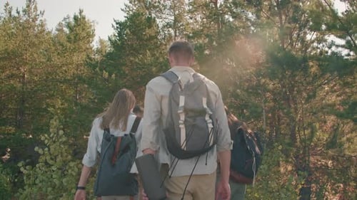 Young People Hiking in Woods