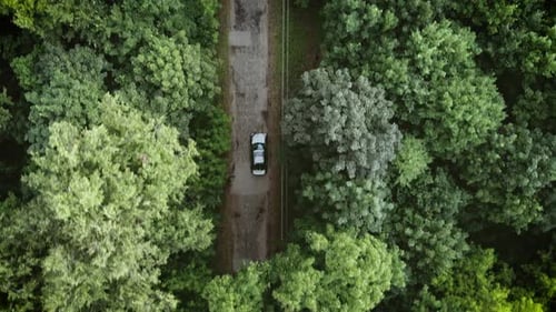 Aerial top down 4k view of white car driving on country road in forest in the evening at twilight