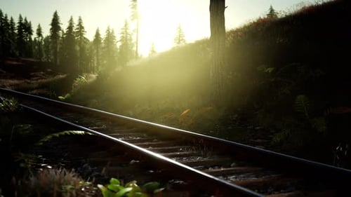 Lush Forest Railroad Tracks with Sun Flare Motion Background