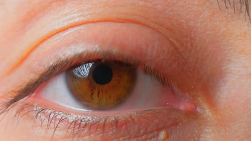Close-Up of Human Eye Detail