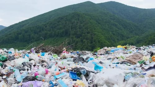 Mülldeponie für Plastikmüll inmitten eines grünen Waldes in den Karpaten Ukraine