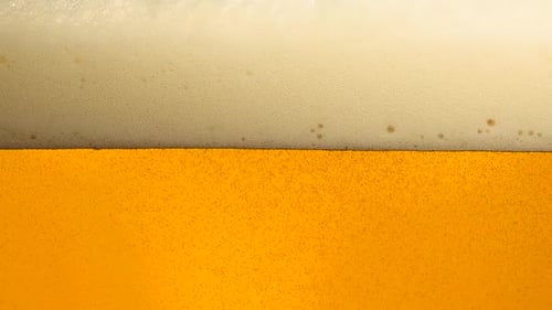 Close Up of Beer with White Foam Head