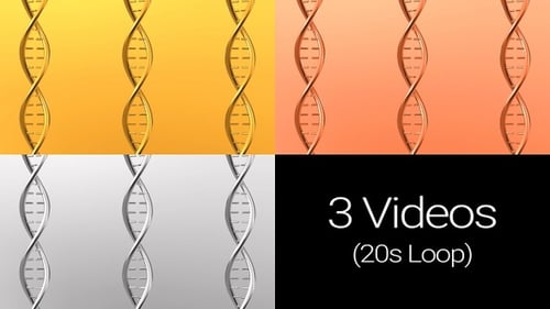 Metal DNA Loop Motion Pack