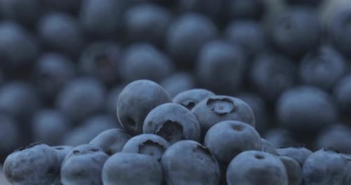 Closeup Shot of a Blueberry