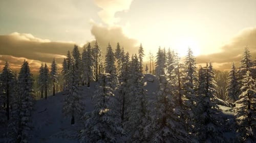 paisaje de invierno con niebla montaña puesta de sol