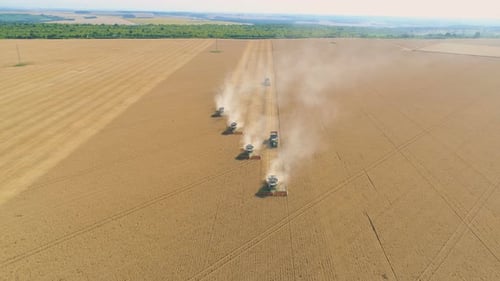 Top Down View of Harvester Machine Working in Wheat Field . Combine Agriculture Machine Harvesting